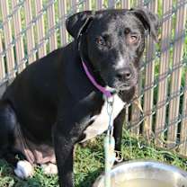 Thumbnail photo of Astrid #2