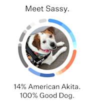 Thumbnail photo of Sassy #4