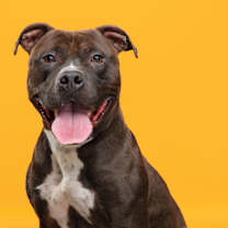 Thumbnail photo of Cash #1