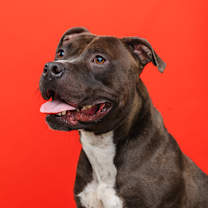 Thumbnail photo of Cash #2