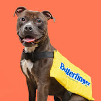 Thumbnail photo of Cash #3