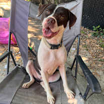 Thumbnail photo of Josephine #1