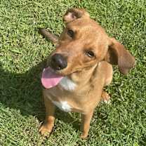 Thumbnail photo of Finn #2