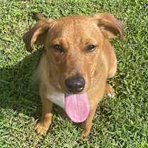 Thumbnail photo of Finn #3