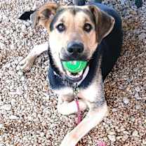 Thumbnail photo of RUSS #2