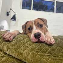 Thumbnail photo of Greg #2