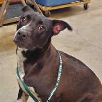 Thumbnail photo of Wellington #3