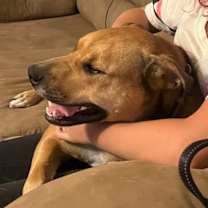 Thumbnail photo of Ryder #2