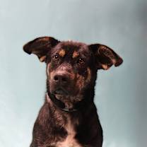 Thumbnail photo of Dakota #3