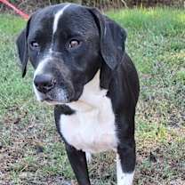 Thumbnail photo of 251312  Maui #1