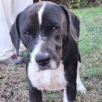 Thumbnail photo of 251312  Maui #3