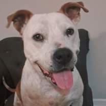 Thumbnail photo of Sunshine #1