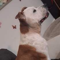 Thumbnail photo of Sunshine #2