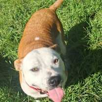 Thumbnail photo of Sunshine #3