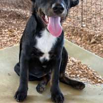 Thumbnail photo of Jolene #1