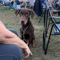 Thumbnail photo of PETTY, AKA MAX #3