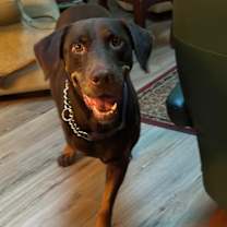 Thumbnail photo of PETTY, AKA MAX #4