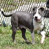 Thumbnail photo of Crumbl Cookie #3