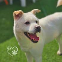 Thumbnail photo of Sammie #4