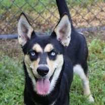 Thumbnail photo of Cleopatra #1