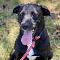 Thumbnail photo of Eclipse #1