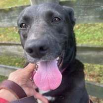 Thumbnail photo of Eclipse #2