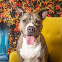 Thumbnail photo of Betty #1