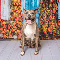 Thumbnail photo of Betty #2