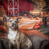 Thumbnail photo of Betty #3