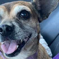 Thumbnail photo of Ginny #2