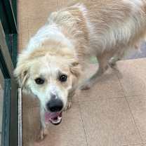 Thumbnail photo of Bailey #3