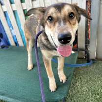 Thumbnail photo of Bear #1