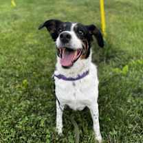 Thumbnail photo of Dominic #2