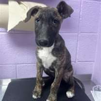 Thumbnail photo of 59350361 #1