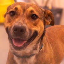 Thumbnail photo of Wanda #1