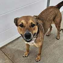 Thumbnail photo of Wanda #2