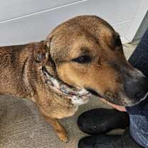 Thumbnail photo of Wanda #3