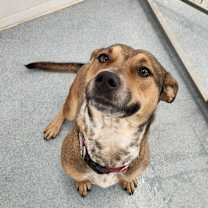 Thumbnail photo of Wanda #4