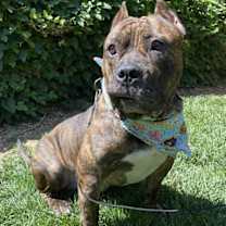 Thumbnail photo of Franklin #2