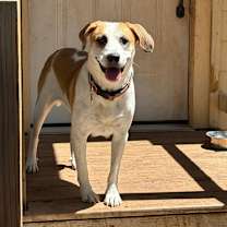 Thumbnail photo of Noodle #2