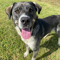 Thumbnail photo of Spencer #1