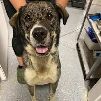 Thumbnail photo of Spencer #2