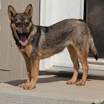 Thumbnail photo of Levi aka Evan #2