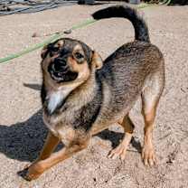 Thumbnail photo of Levi aka Evan #4