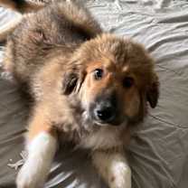 Thumbnail photo of Princess #2