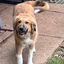 Thumbnail photo of Princess #3