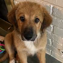 Thumbnail photo of Princess #4