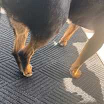 Thumbnail photo of Max CNTY-193 #2