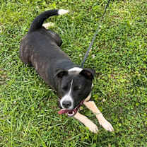 Thumbnail photo of Dottie City026 #3