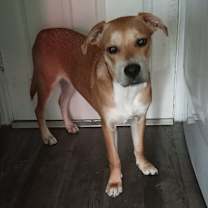 Thumbnail photo of Creed #2